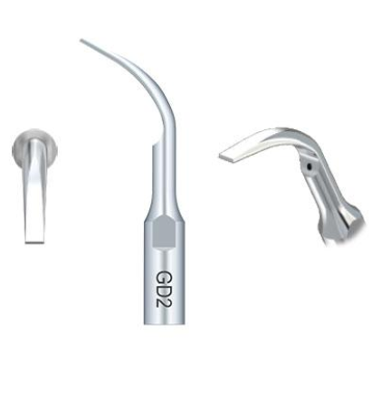 Anse detartraj woodpecker GD2