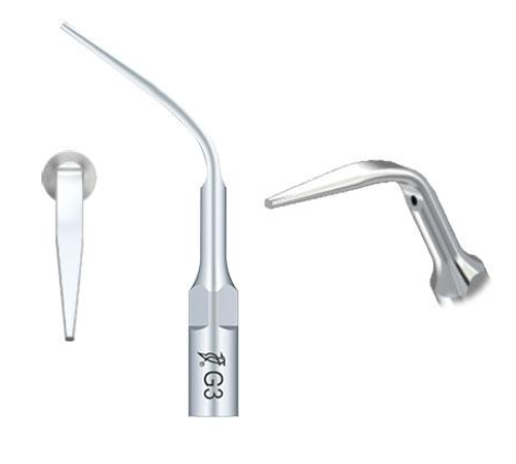 Anse detartraj woodpecker G3