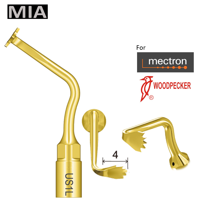 Ansa ultrasunete chirurgie piezotom US1L 