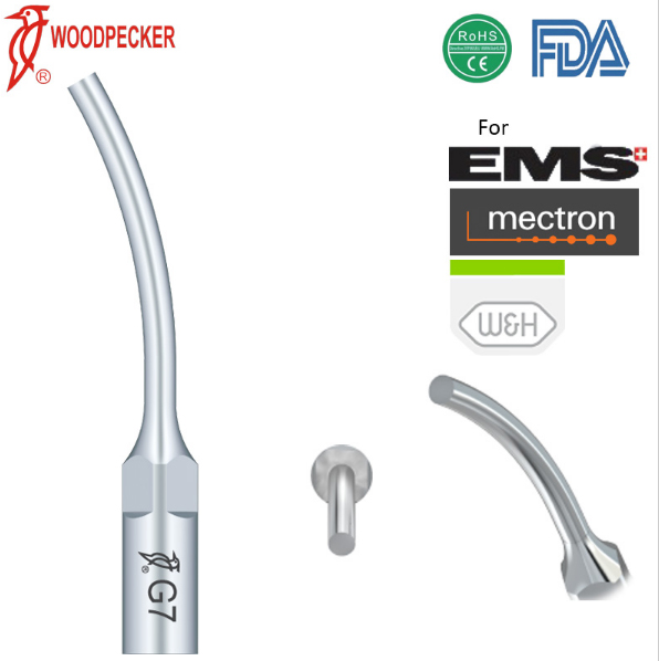 Ansa indepartat coroane, pivoti G7