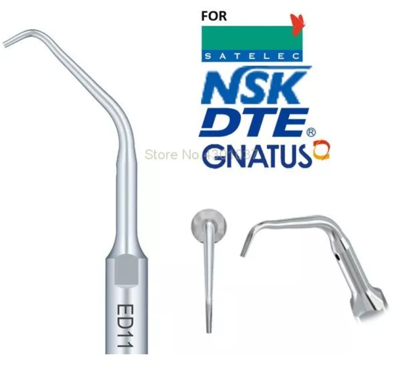 Ansa Endodontie Ed11