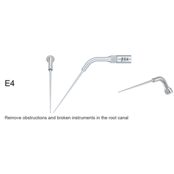 Ansa endodontie E4