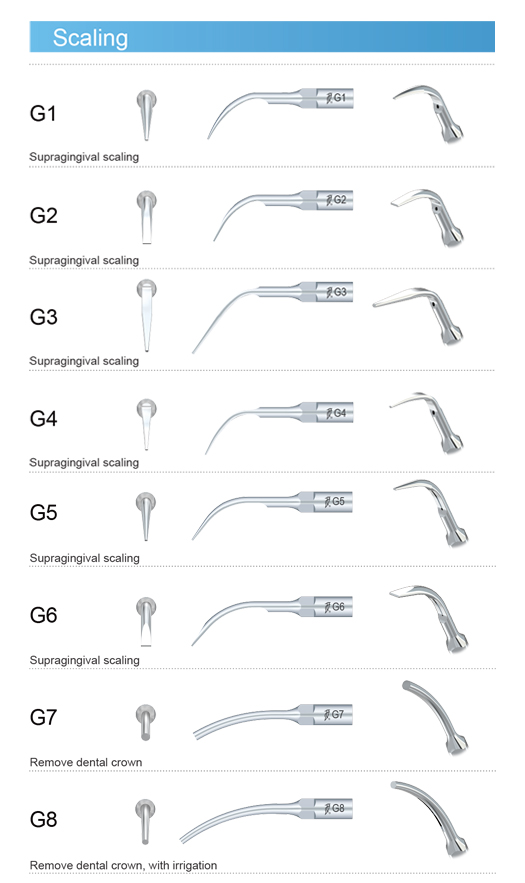 Anse detartraj woodpecker G4