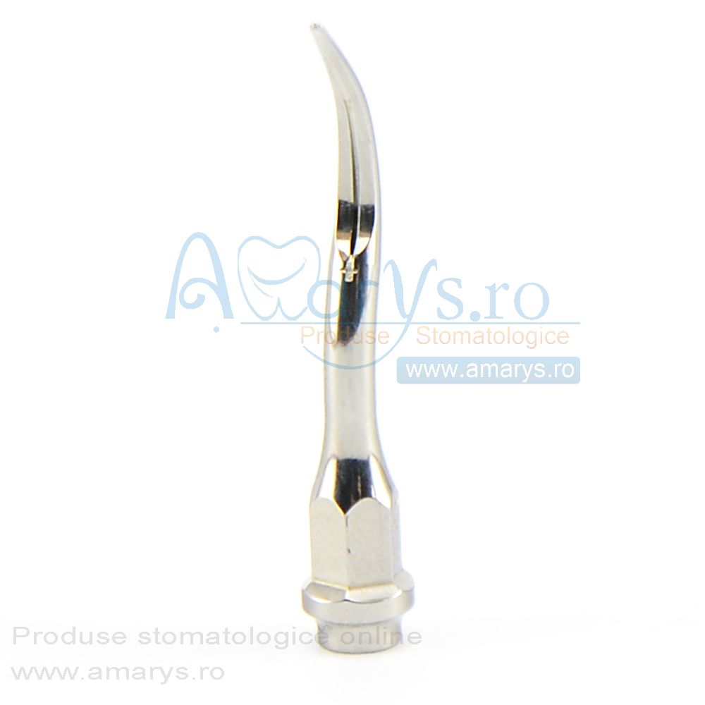 Ansa detartraj KAVO GC2