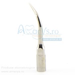 Anse parodontale woodpecker P1