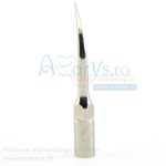 Anse parodontale woodpecker P1