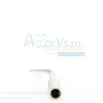 Anse parodontale woodpecker P1