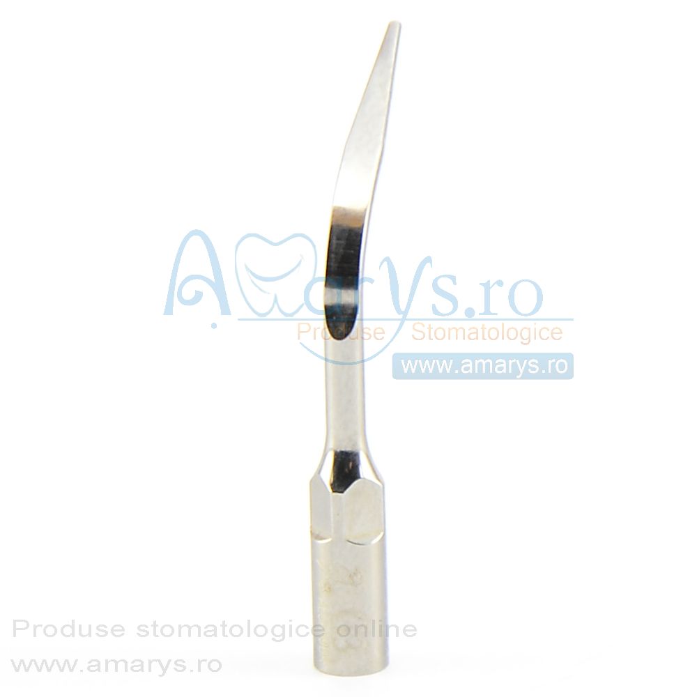 Anse detartraj woodpecker G3