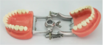 Arcada dentara model Phantom 32 dinti rasina + ARTICULATOR