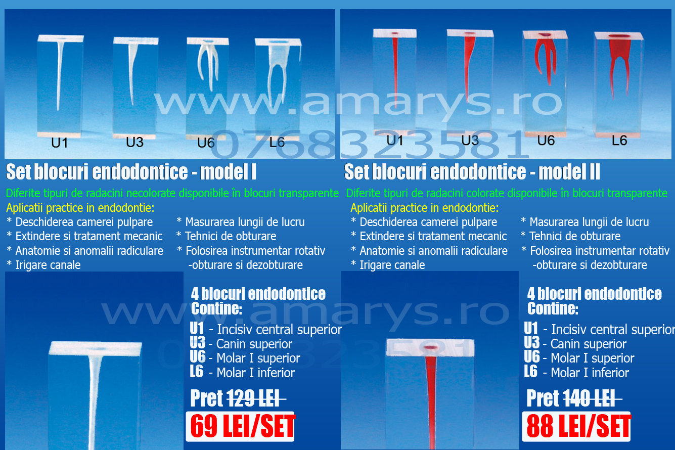 Set blocuri endodontie - model I Set blocuri endodontie - model I