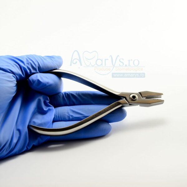 Cleste DE LA ROSA Ortodontie