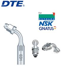 Ansa Endodontie ED1
