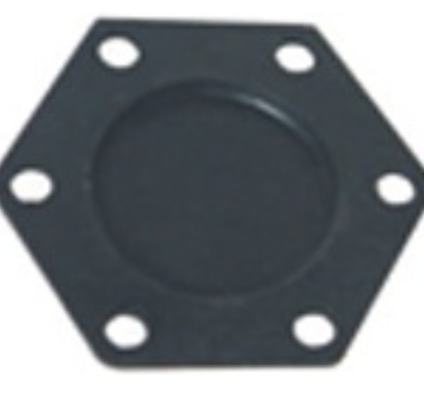 Garnitura  (membrana) pentru Valva hexagonala