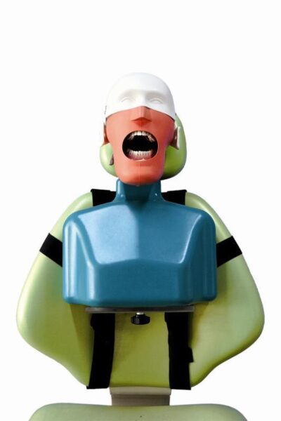 Manechin dentar simulator in practica si cursuri