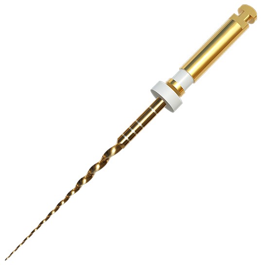 Ace D-PERFECT TG6 Protaper Gold V2 (S2)