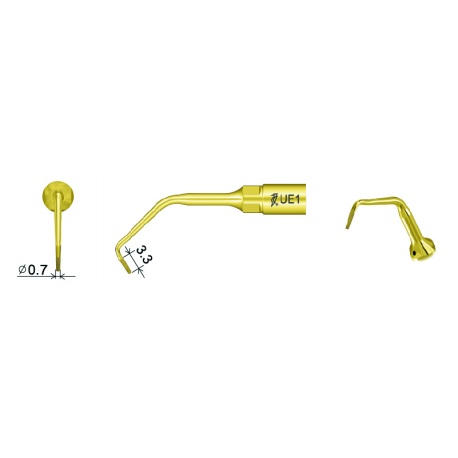 Ansa Chirurgie Endodontie UE1