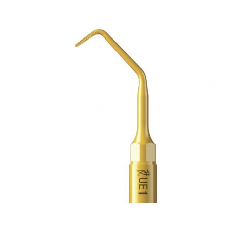 Ansa Chirurgie Endodontie UE1