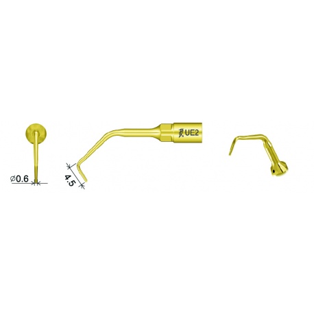 Ansa Chirurgie Endodontie UE2