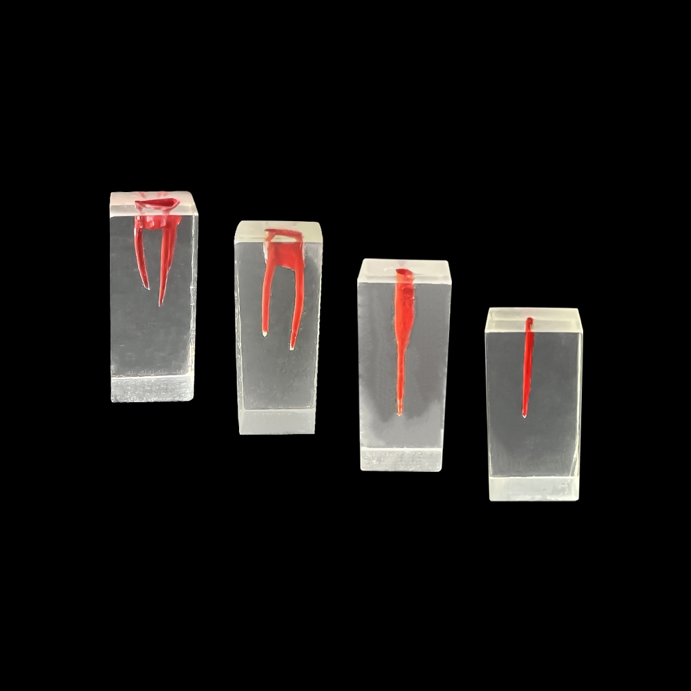 endo-block-hstn2