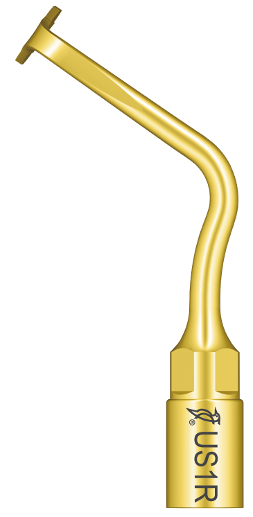 Ansa ultrasunete chirurgie piezotom US1R