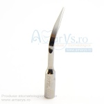 Anse detartraj woodpecker GD3